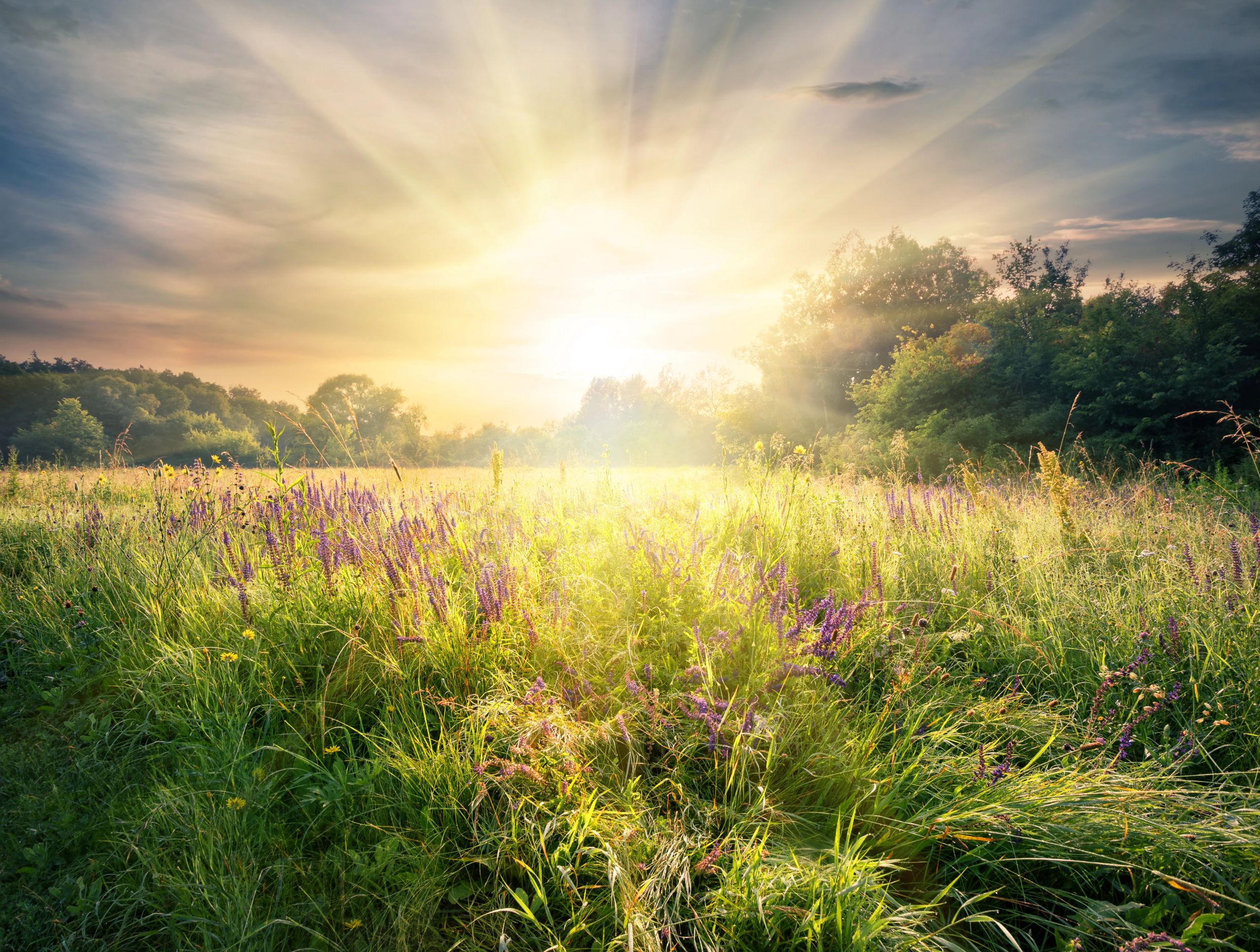CH0-iStock-926681406